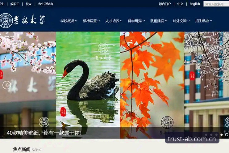 AB娱乐平台登录入口实用指南：从下载到畅玩只需四步